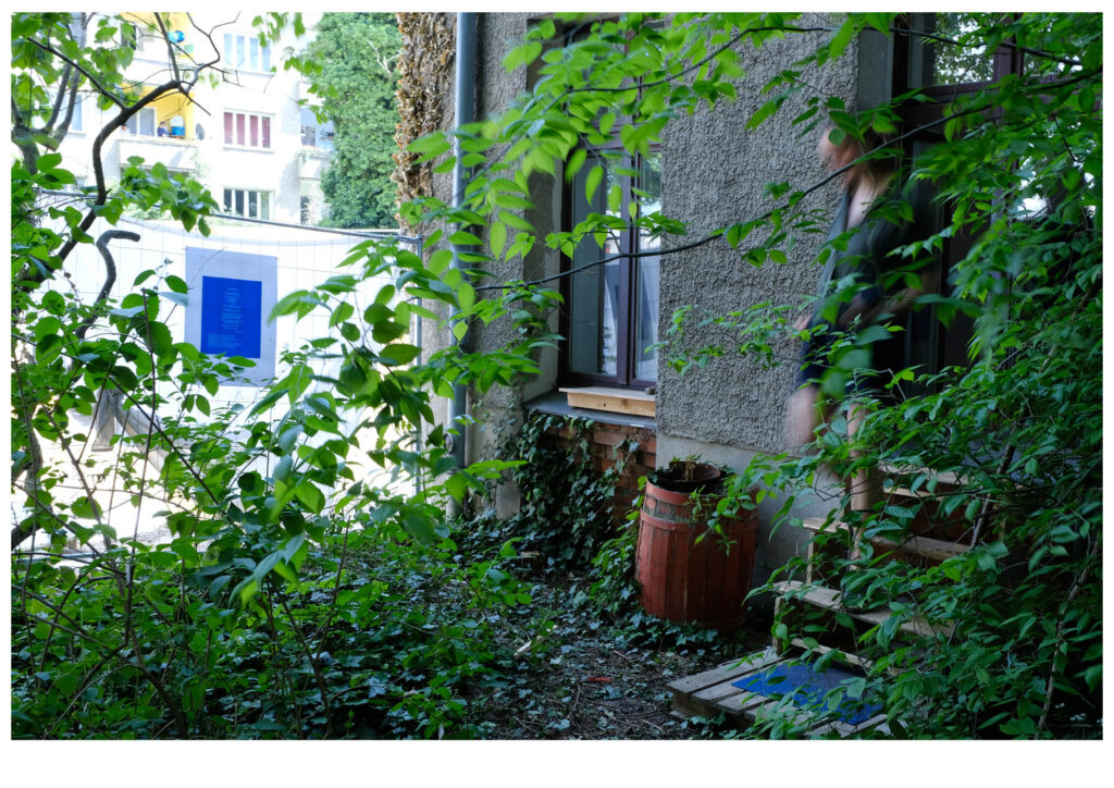 when you turn doku 33